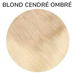 Blond Cendré Ombré